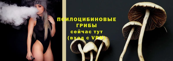 хмурый Наволоки