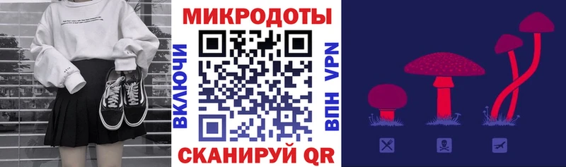 Галлюциногенные грибы Psilocybe  Новая Ляля 